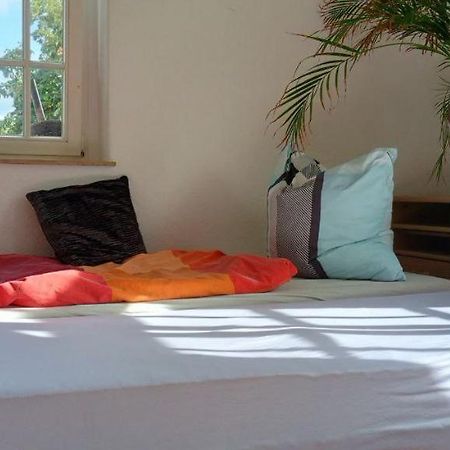 Forrest Apartments In Freiberg Min Stay 2 Nights Max Number Of Guest 1 Aprt 1 Extérieur photo
