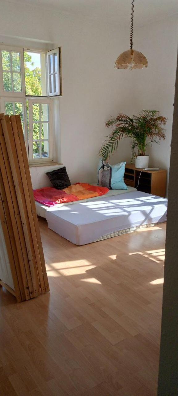 Forrest Apartments In Freiberg Min Stay 2 Nights Max Number Of Guest 1 Aprt 1 Extérieur photo
