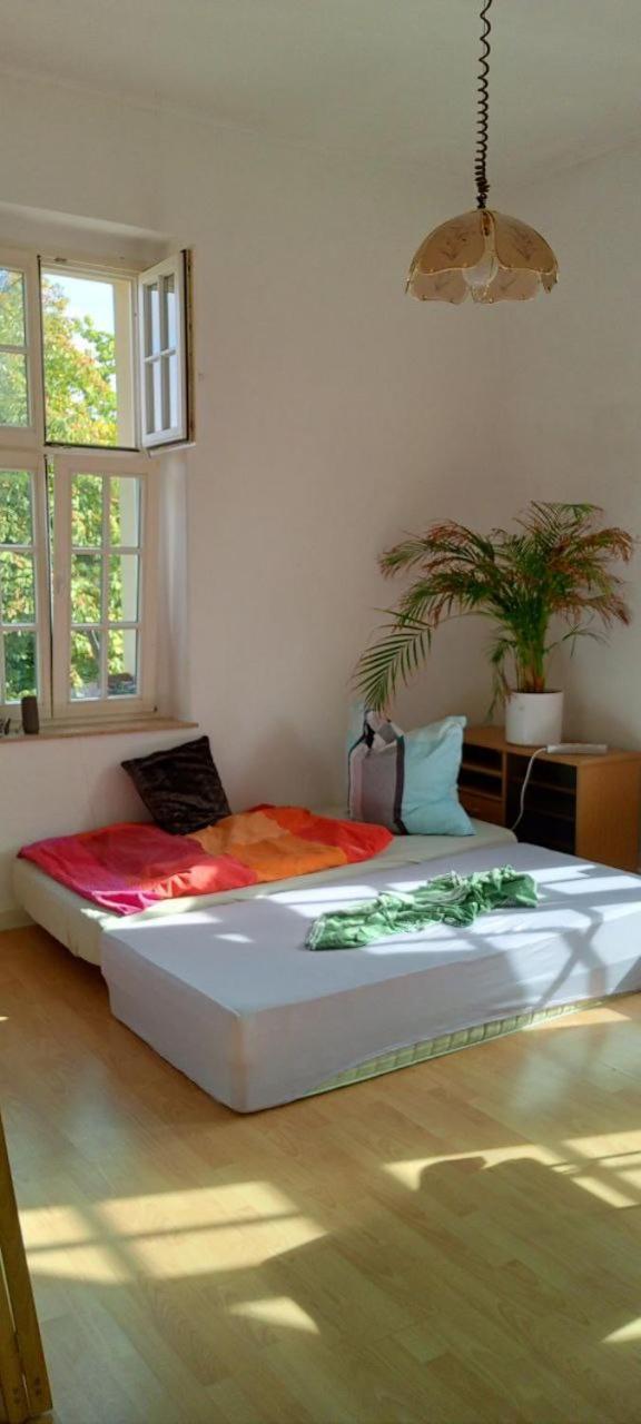 Forrest Apartments In Freiberg Min Stay 2 Nights Max Number Of Guest 1 Aprt 1 Extérieur photo