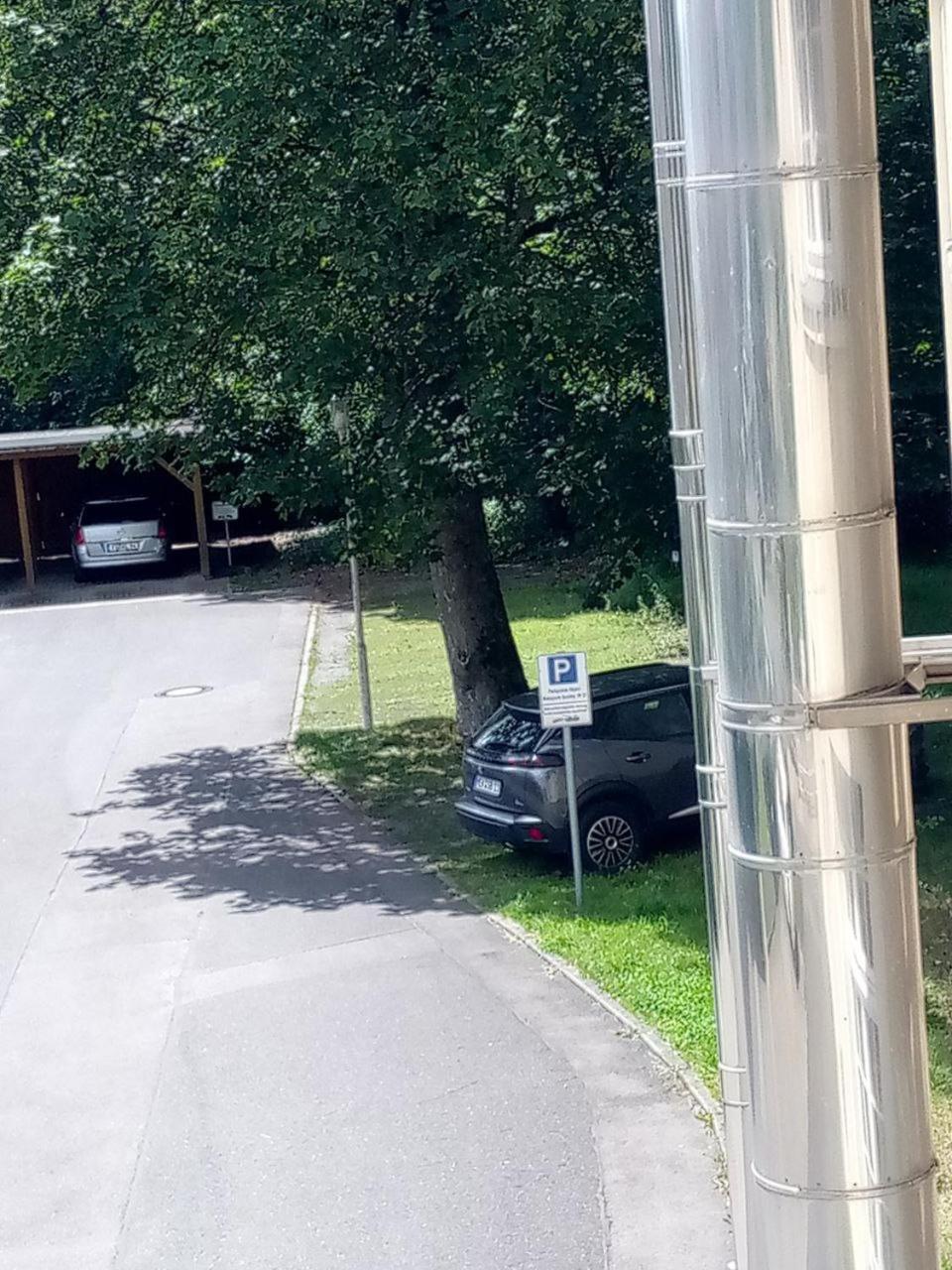 Forrest Apartments In Freiberg Min Stay 2 Nights Max Number Of Guest 1 Aprt 1 Extérieur photo